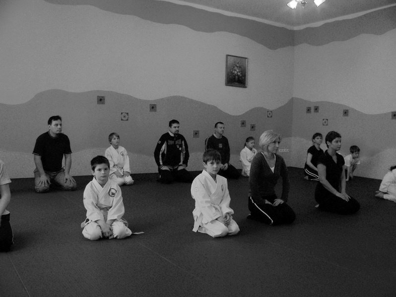 treningsylwestrowyseimeikandojo.jpg