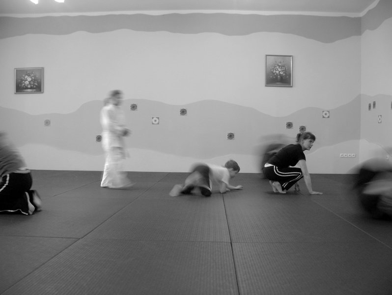 treningsylwestrowyseimeikandojo19.jpg