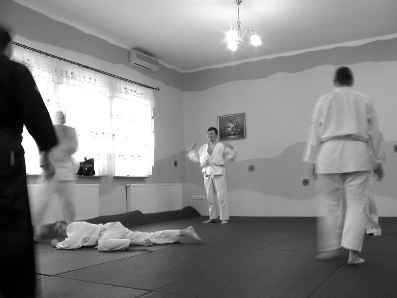 treningsylwestrowyseimeikandojo38.jpg