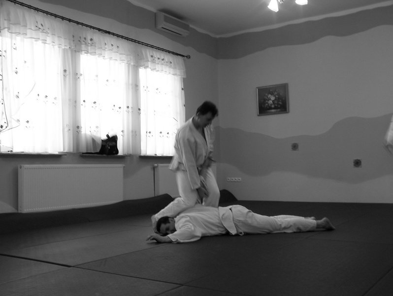 treningsylwestrowyseimeikandojo41.jpg