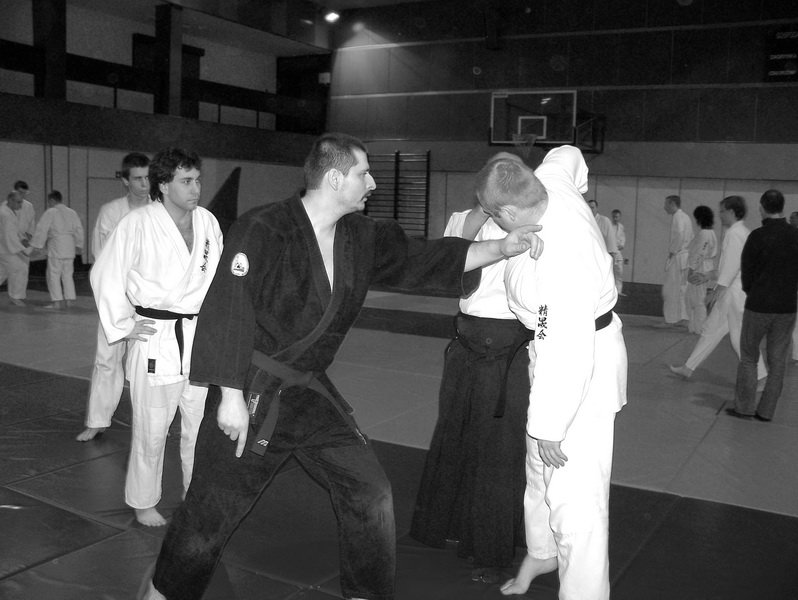 seminariumzsenseimatsuomasazumi8danmosirzabrze1920042008r10.jpg