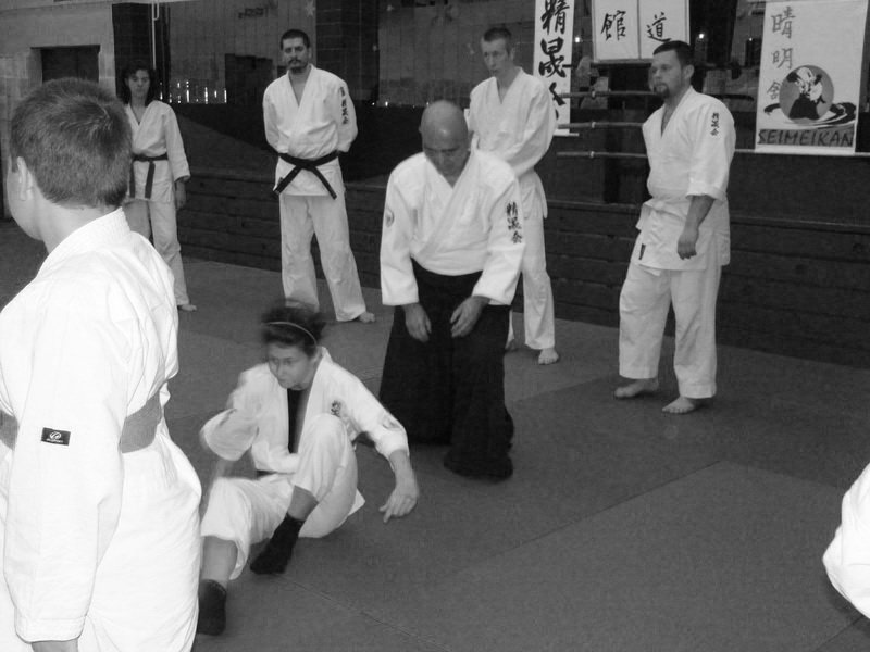 senseimatsuomasazumi8daniyafwseimeikandojotarnowskiegry40.jpg