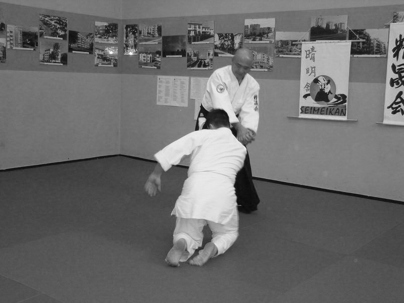 senseimatsuomasazumi8daniyafwseimeikandojo30.jpg