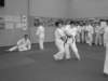 senseimatsuomasazumi8daniyafwseimeikandojo69_small.jpg