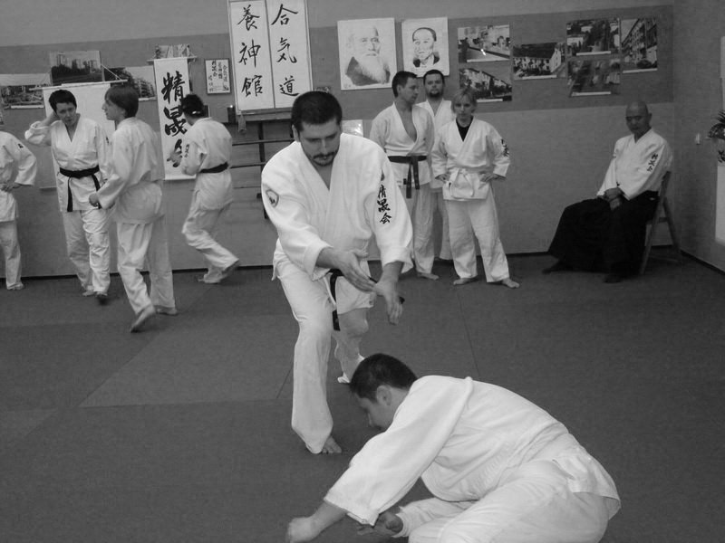 senseimatsuomasazumi8daniyafwseimeikandojo87.jpg
