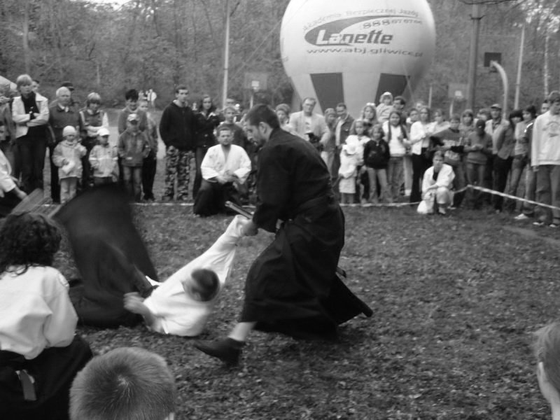 pokazwtarnowskichgrach44.jpg
