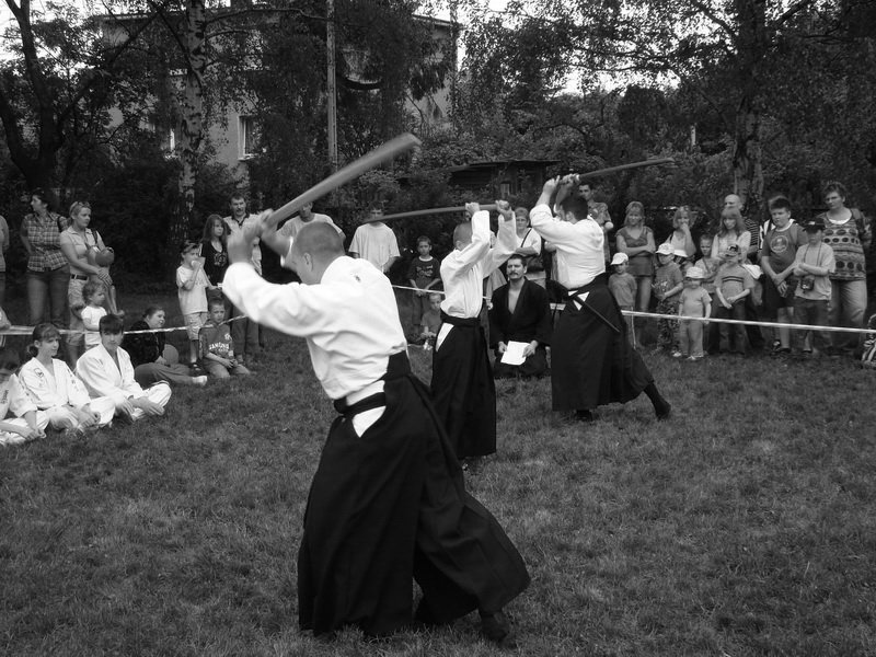 pokazwtarnowskichgrach52.jpg