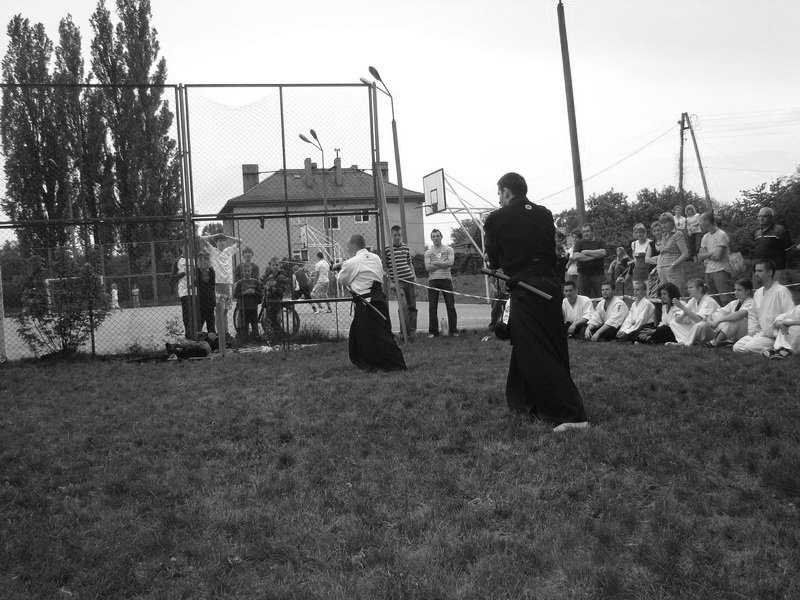 pokazwtarnowskichgrach61.jpg