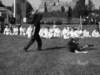 pokazdnisiewierskie74_small.jpg
