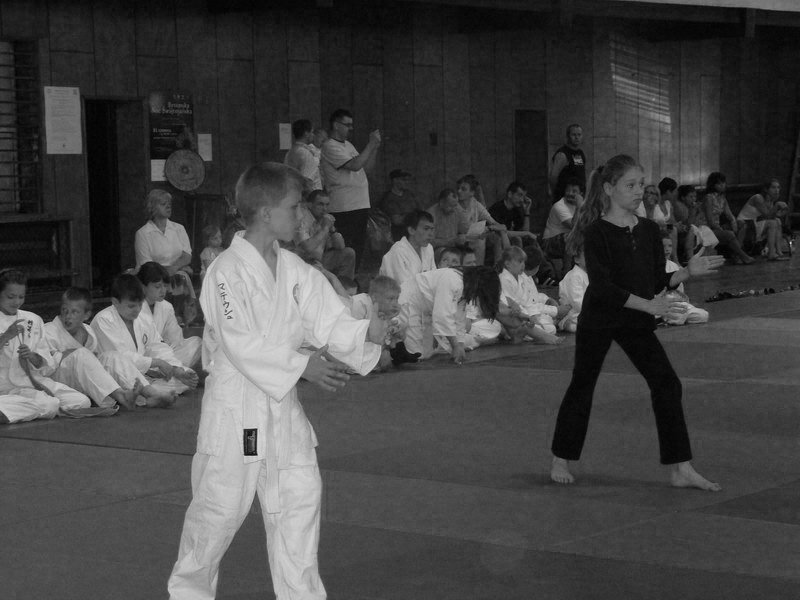 seminariumszkoleniowoegzaminacyjne2122czerwca200895.jpg