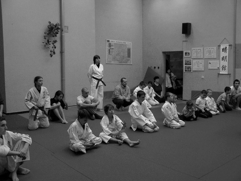 treningsylwestrowyseimeikandojo10.jpg