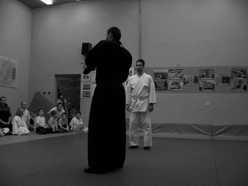 treningsylwestrowyseimeikandojo16.jpg