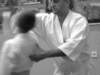 treningsylwestrowyseimeikandojo42_small.jpg