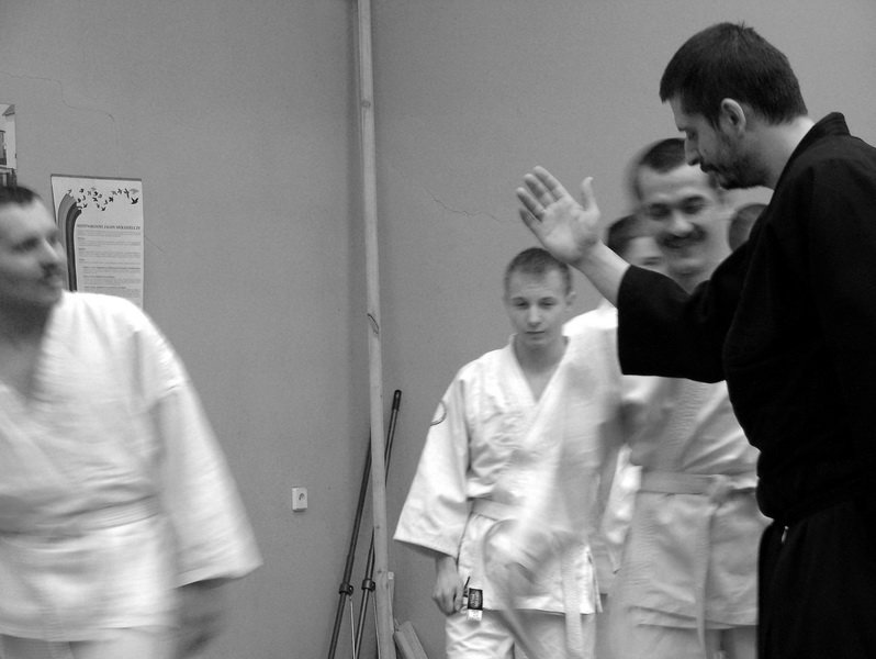 treningsylwestrowyseimeikandojo47.jpg