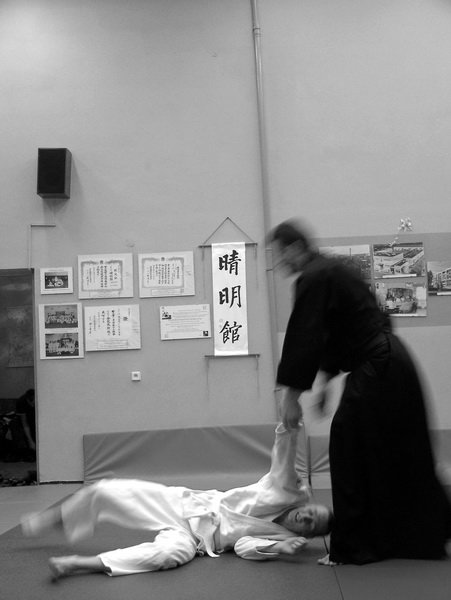 treningsylwestrowyseimeikandojo53.jpg