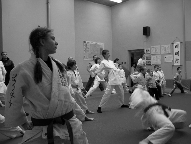 treningsylwestrowyseimeikandojo6.jpg